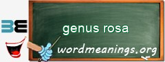 WordMeaning blackboard for genus rosa